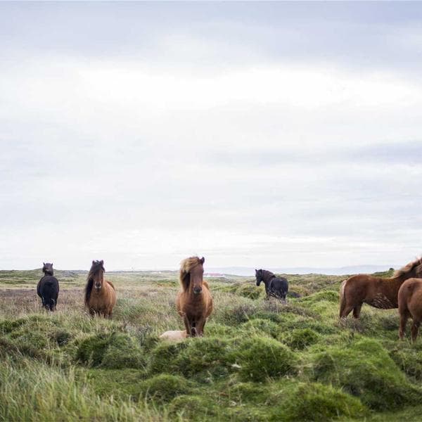 Play-Doh Super Color 20-Pack